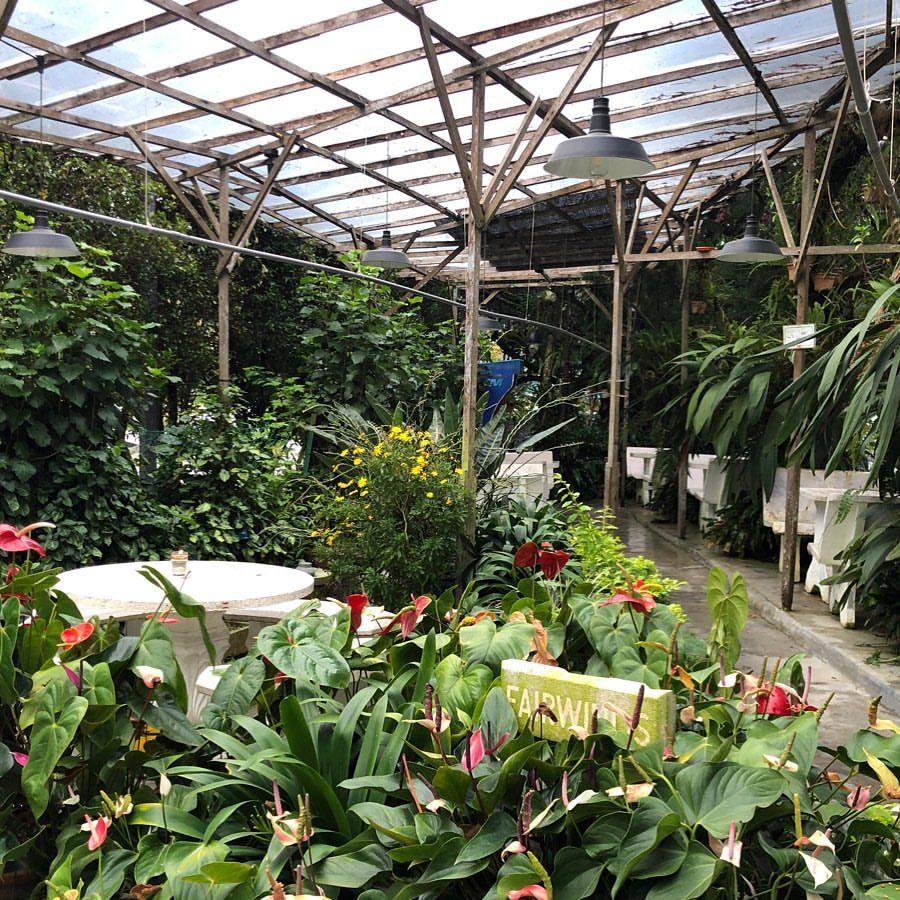 The café’s dining area (Photo: Instagram / @pokok_kelapa)