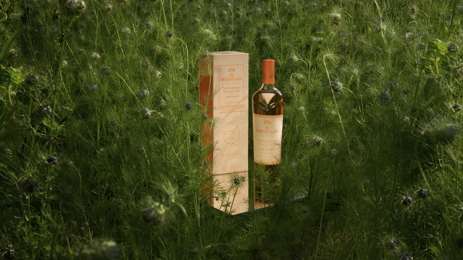 The Macallan Harmony Collection Amber Meadow