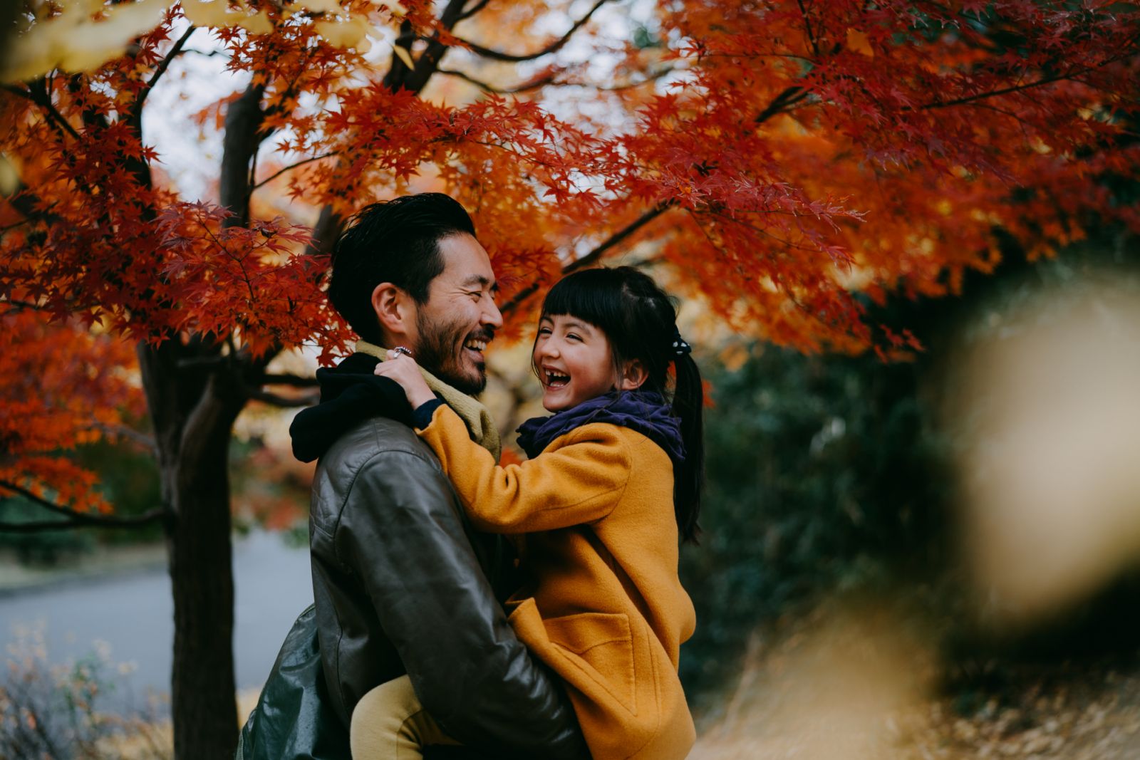 Father holding cute little girl and laughing together under red Japanese maple leaves, Tokyo, Japan