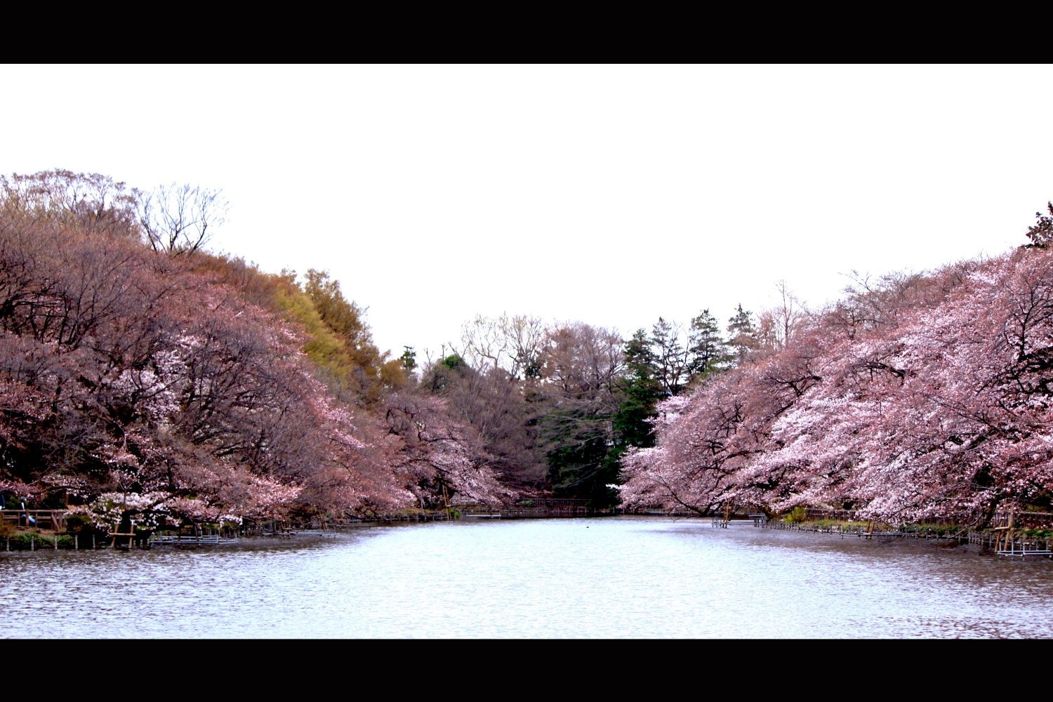 井之頭公園