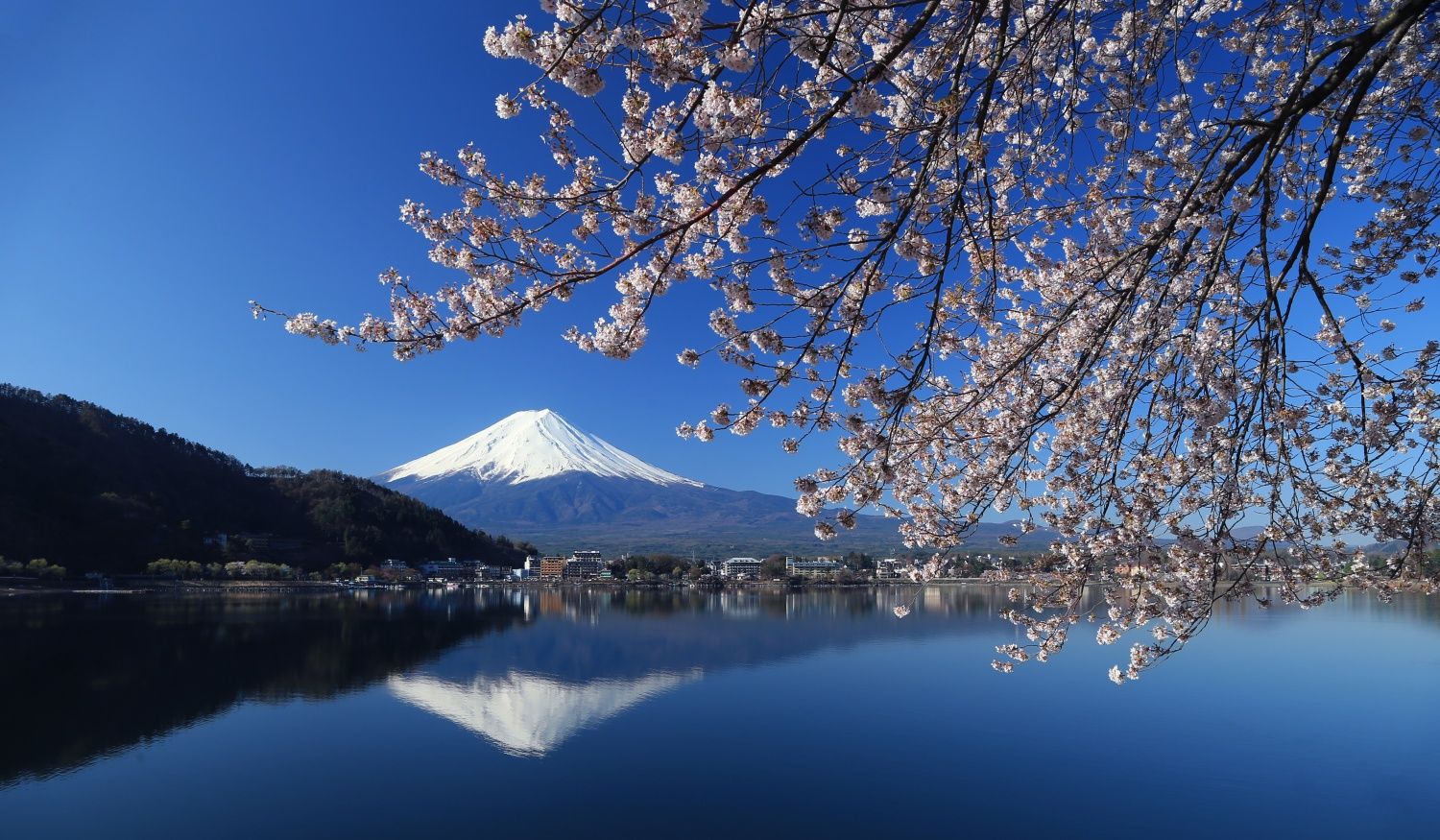 河口湖畔
