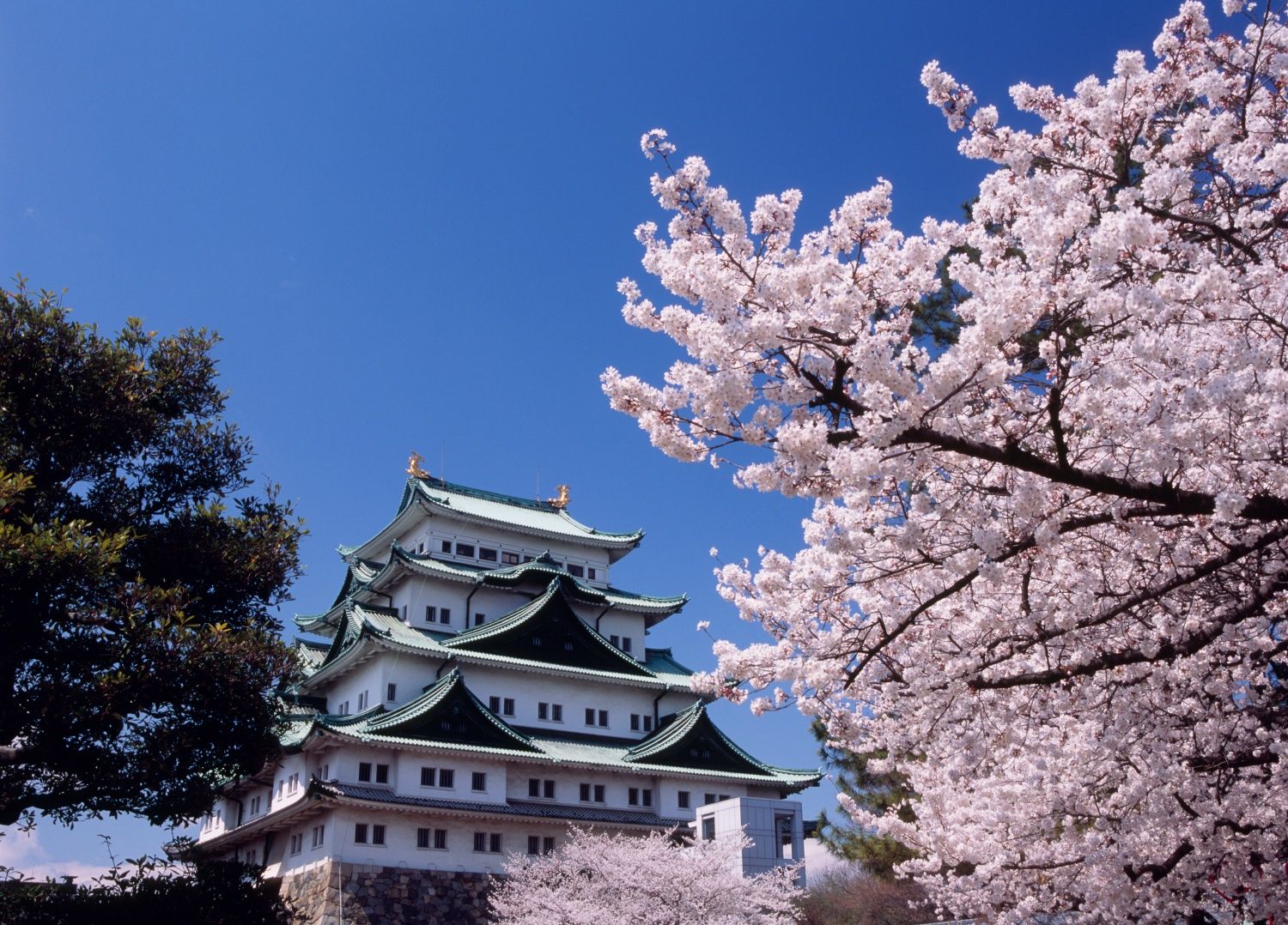 名古屋城