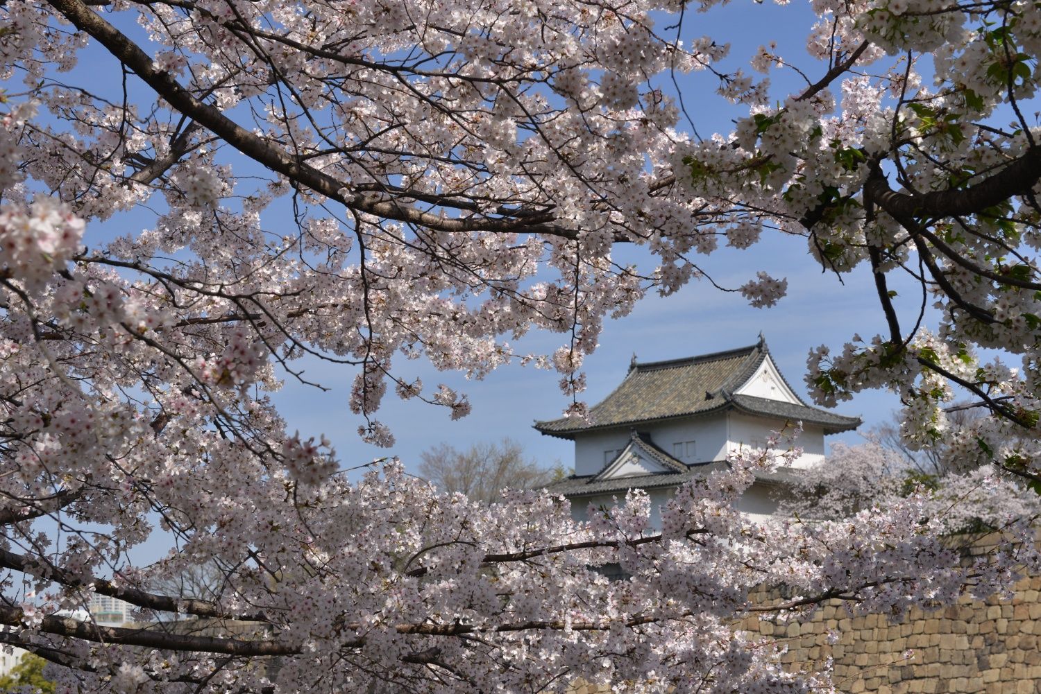 大阪城公園