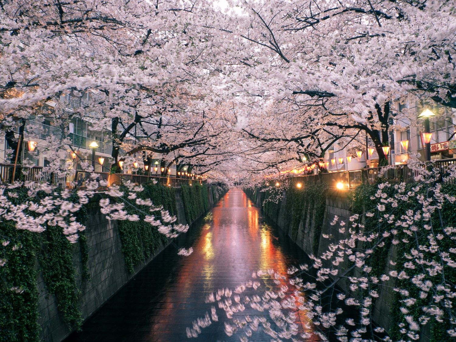 目黑川