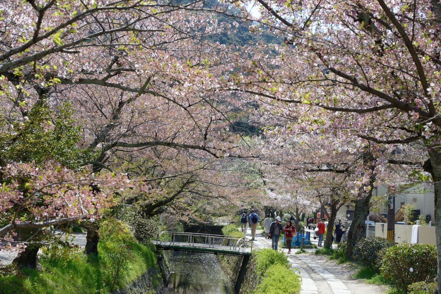 哲學之道