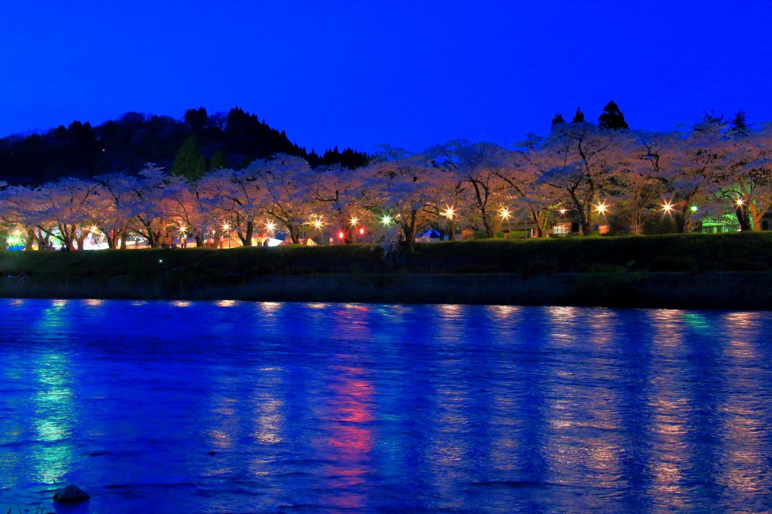 檜木內川堤櫻花(Photo:仙北市觀光課)