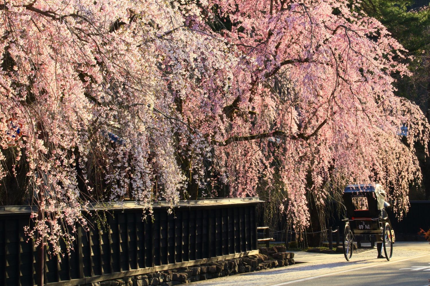 角館町(Photo:仙北市觀光課)