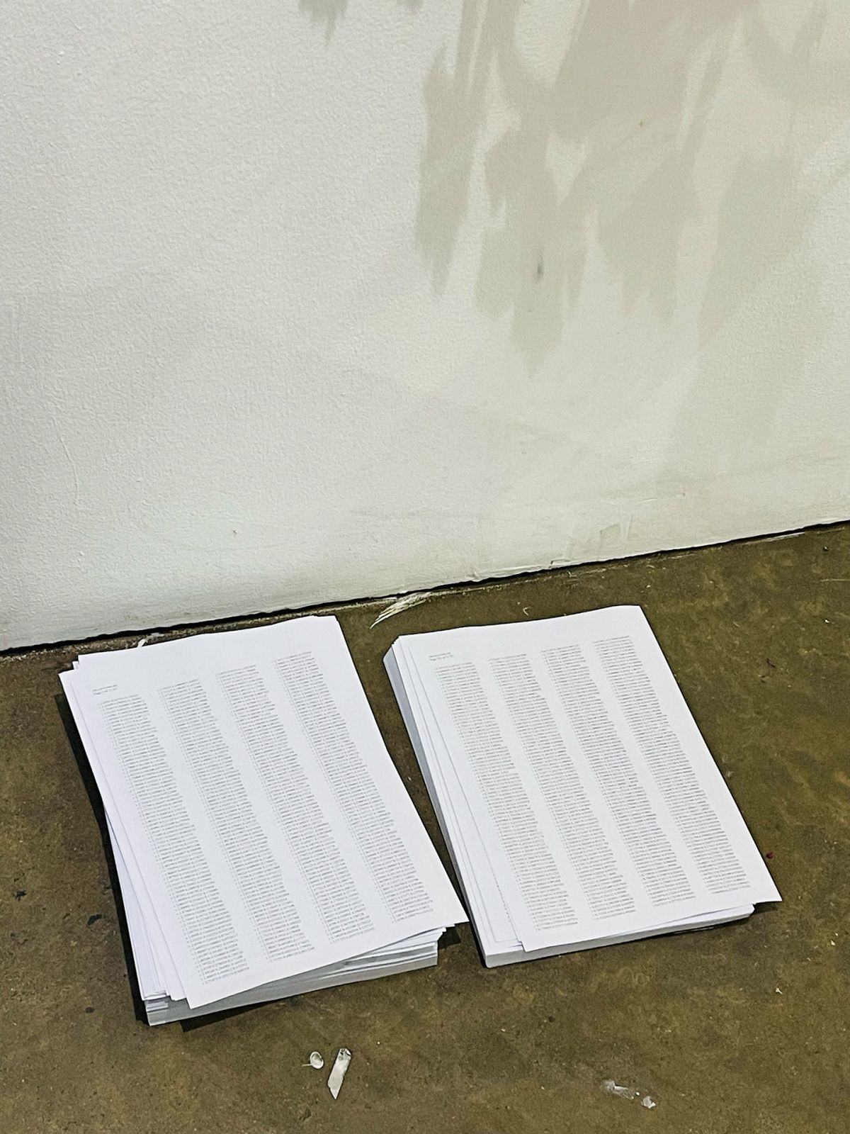 Residencies_Julian Tapales, Butanding Barrio (4)