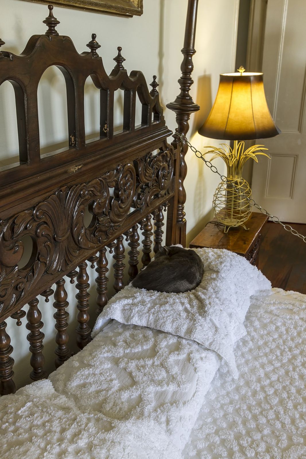 One of the many "Hemingway cats" that now reside within the compound (Photo: Acroterion / WikiCommons)