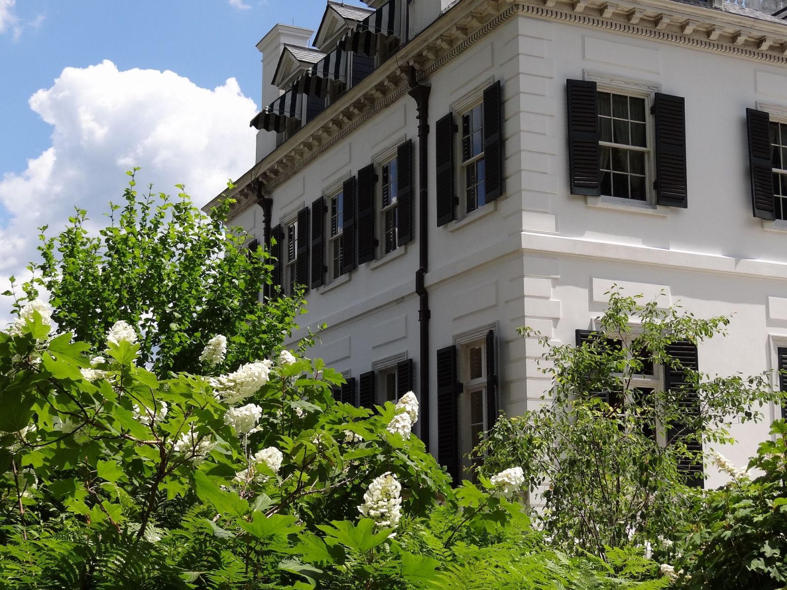 White stucco walls agains the dark green shutters (Photo: Esther Westerveld / WikiCommons)