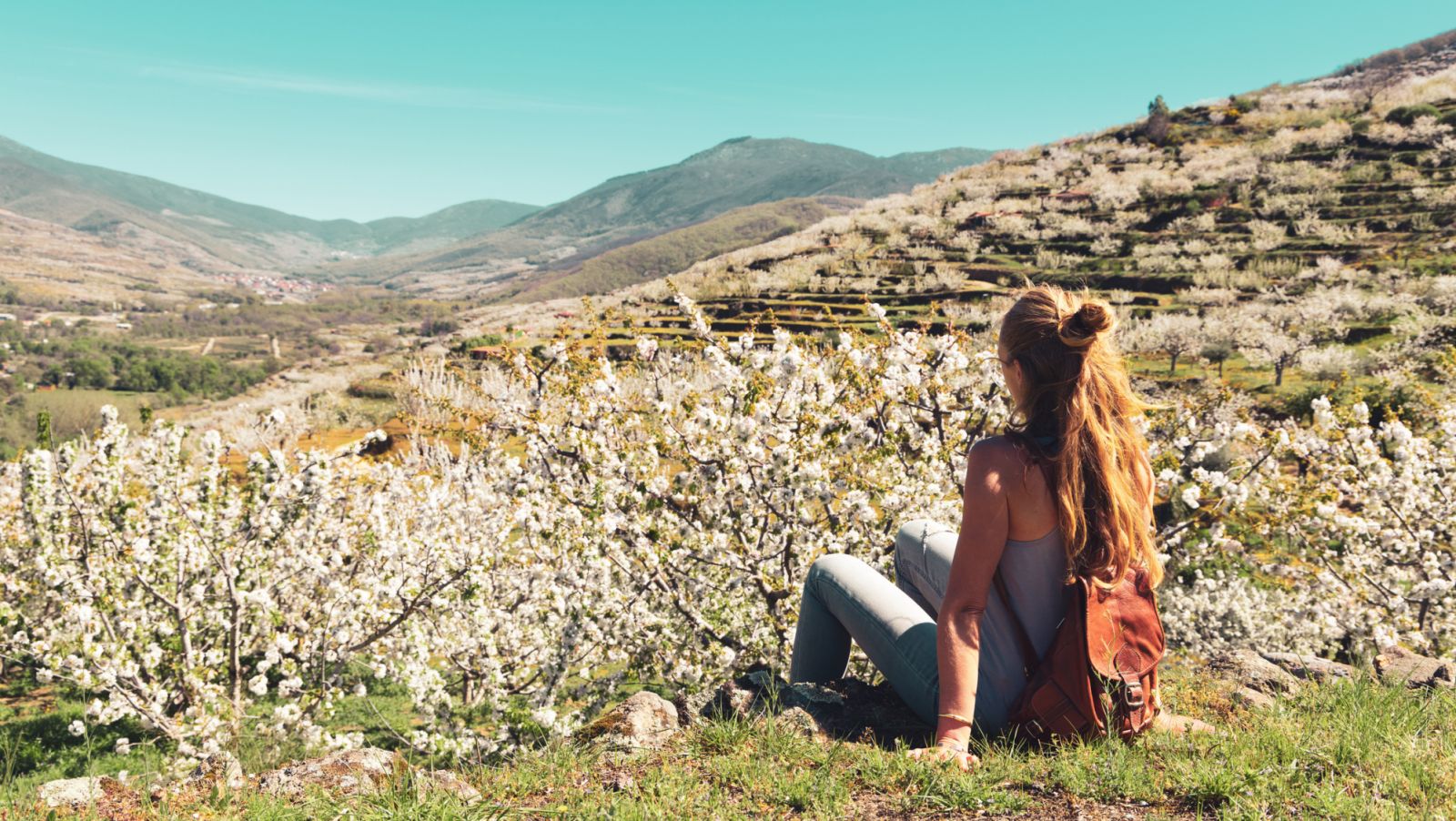 Beautiful panorama of Jerte valley with cherry blossom in Spain- Extremadura