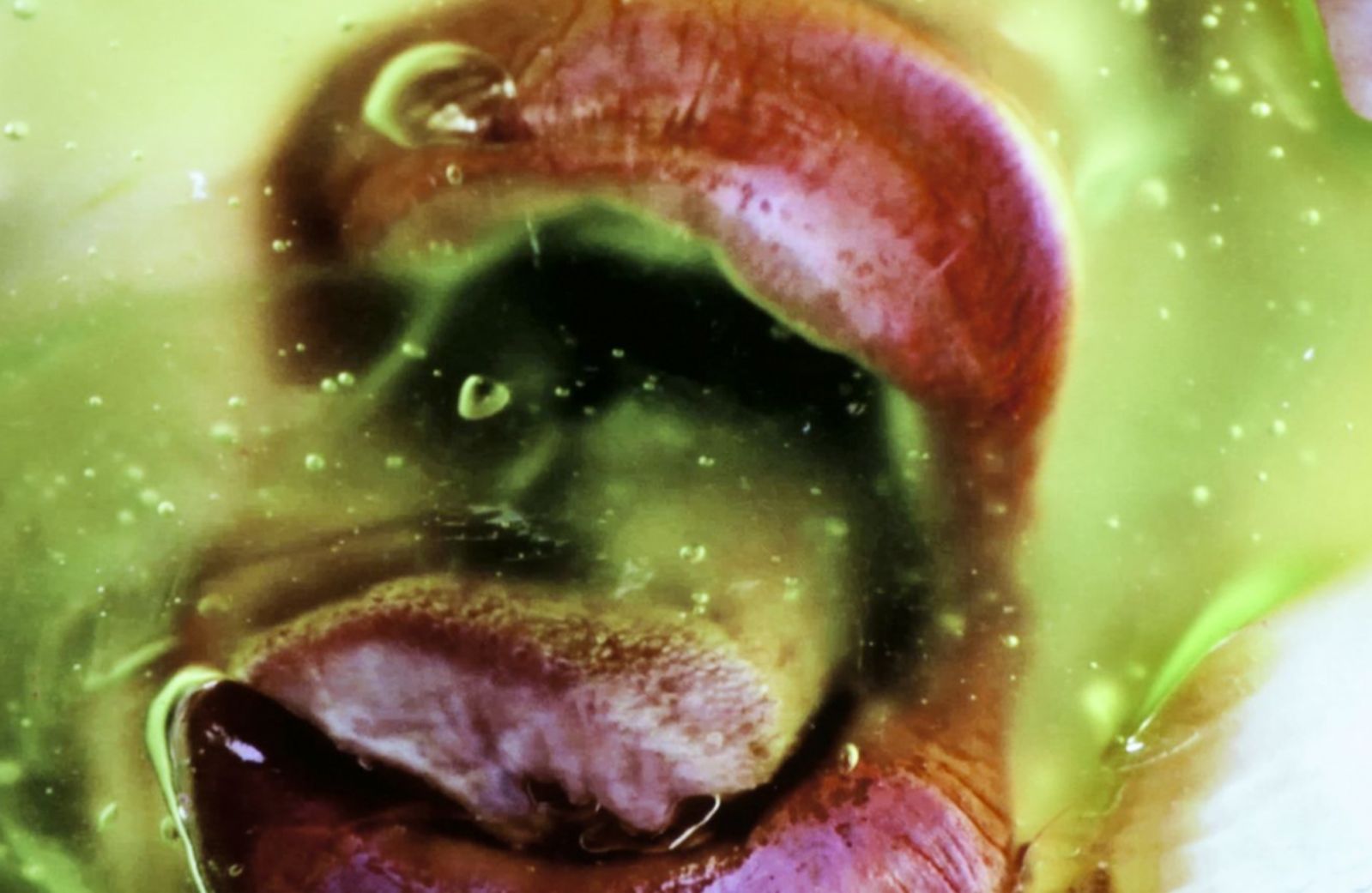 A still from Minter's "Green Pink Caviar" (2009) (Photo: courtesy of the artist and Salon 94, New York)