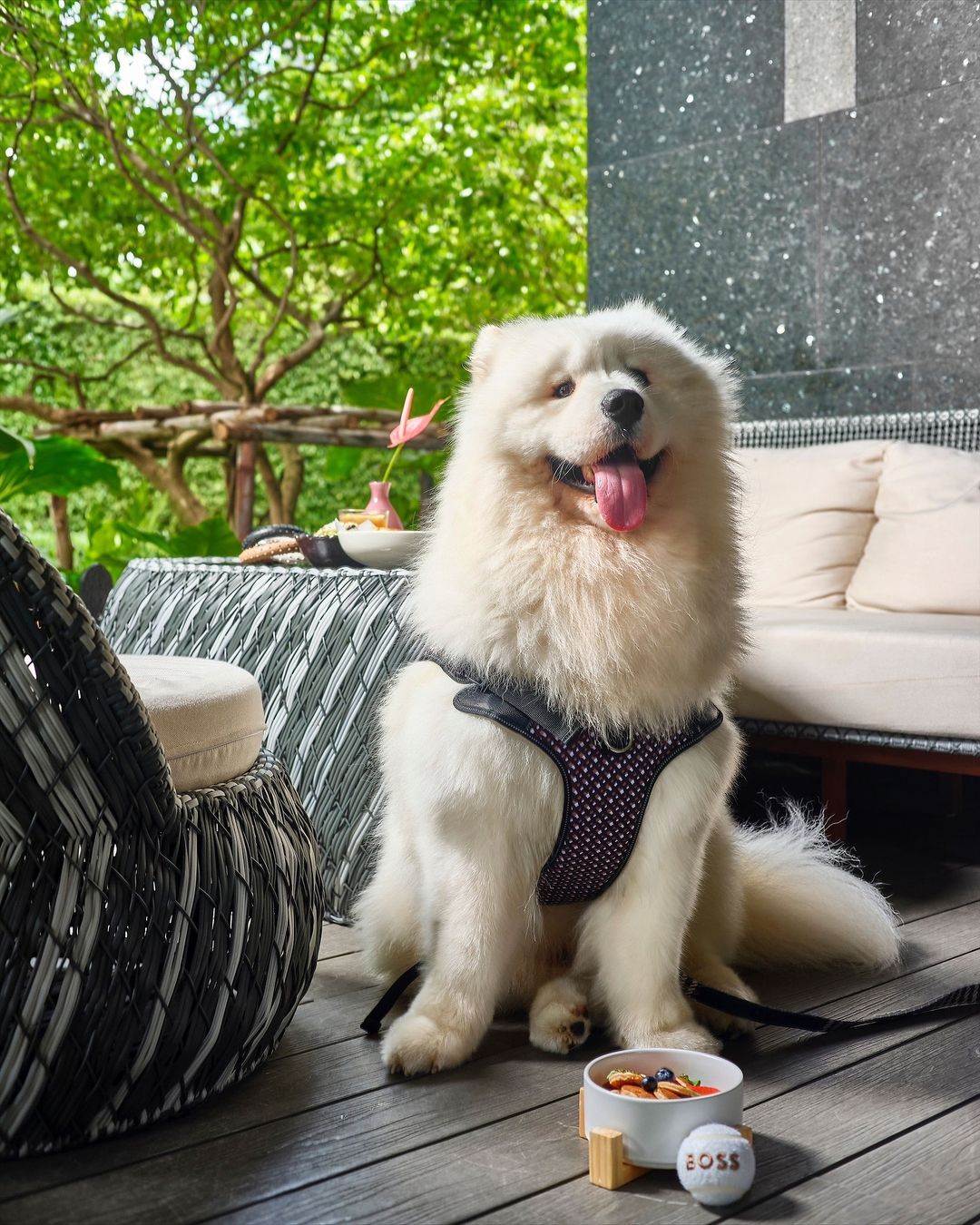 pet-friendly cafe at craft at Kimpton Maa-Lai Bangkok คาเฟ่ pet-friendly ในกรุงเทพ