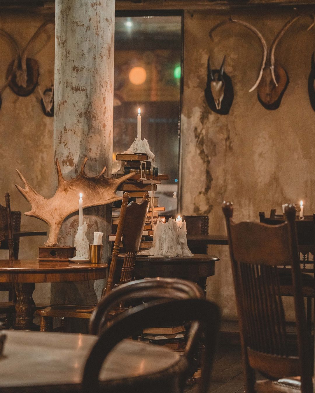 The Mustang Blu โรงแรม pet-friendly ในกรุงเทพ