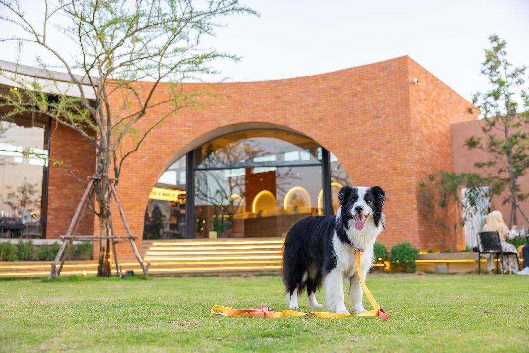 Dawn to Dusk pet-friendly café คาเฟ่ pet-friendly ในกรุงเทพ