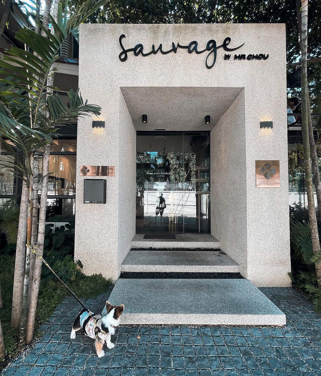 sauvage pet friendly cafe คาเฟ่ pet-friendly ในกรุงเทพ