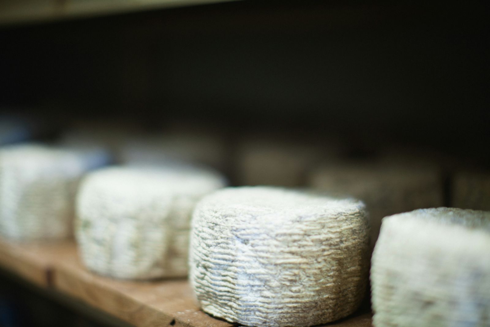 Cheese with a white rind, produced by a specific strain of fungi (Photo: Unsplash)