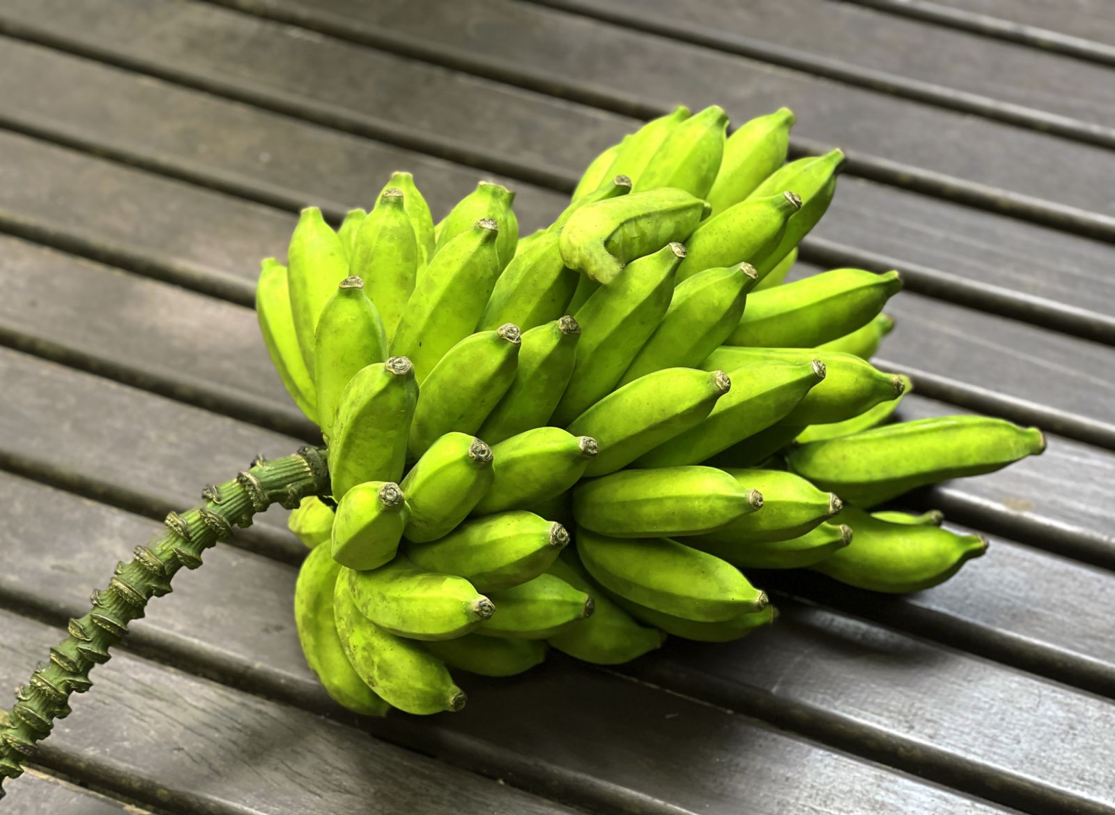 Bananas were once smaller with bigger seeds, similar to wild-growing Asian varieties (Photo: Getty Images)