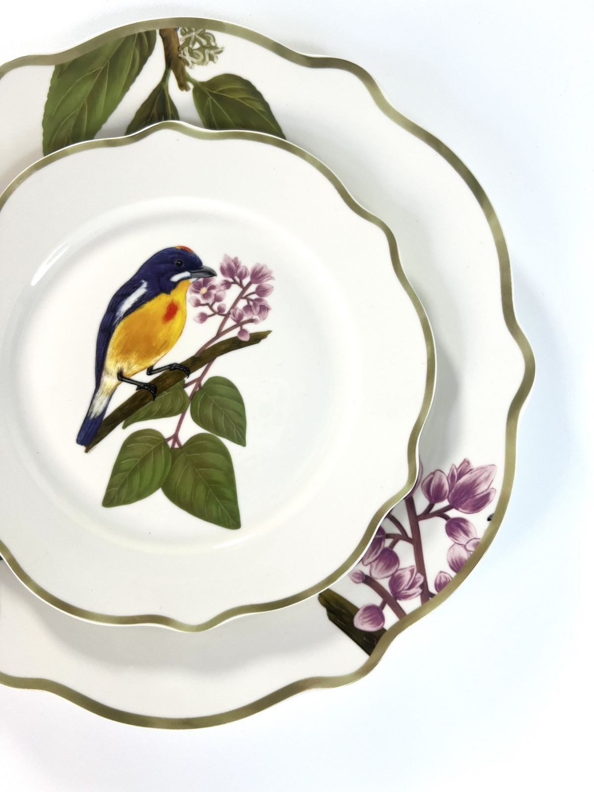 Palawan Flowerpecker from the Ibon Collection by Casa Juan