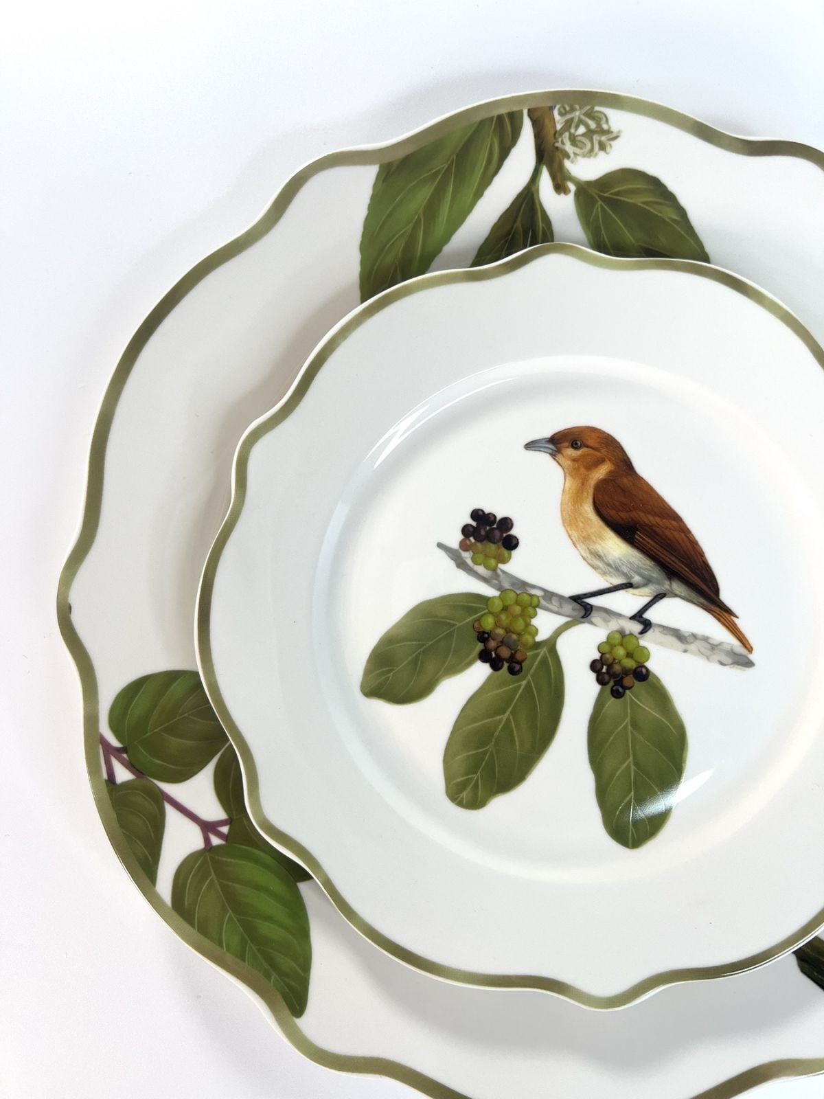 Cinnamon ibon from the Ibon Collection by Casa Juan
