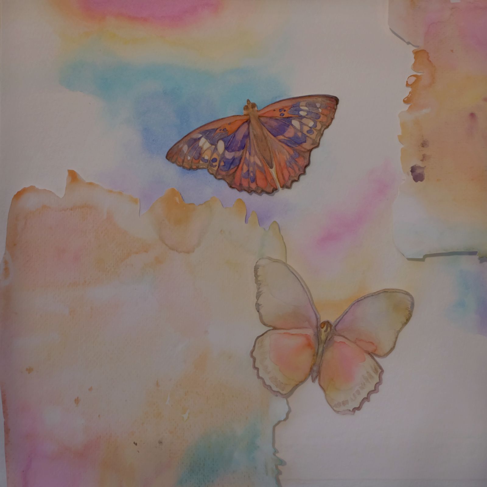 My Tiny Canvas