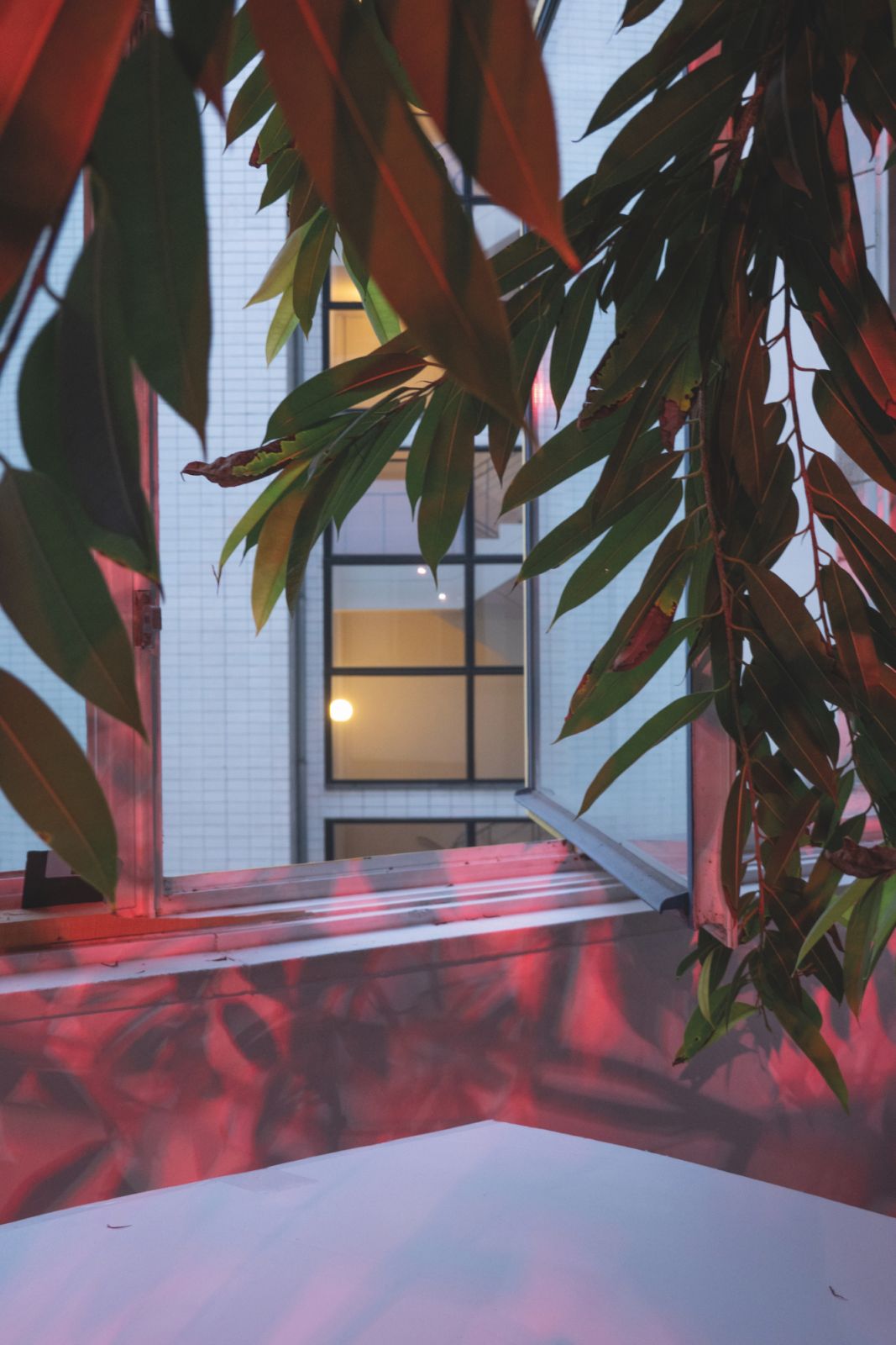 Wolfgang Tillman’s “Window Left Open” (2023) on view for “The Point is Matter” at David Zwirner, from March 25, 5-6/F H Queen’s, 80 Queen’s Road Central (Photo: Wolfgang Tillmans)