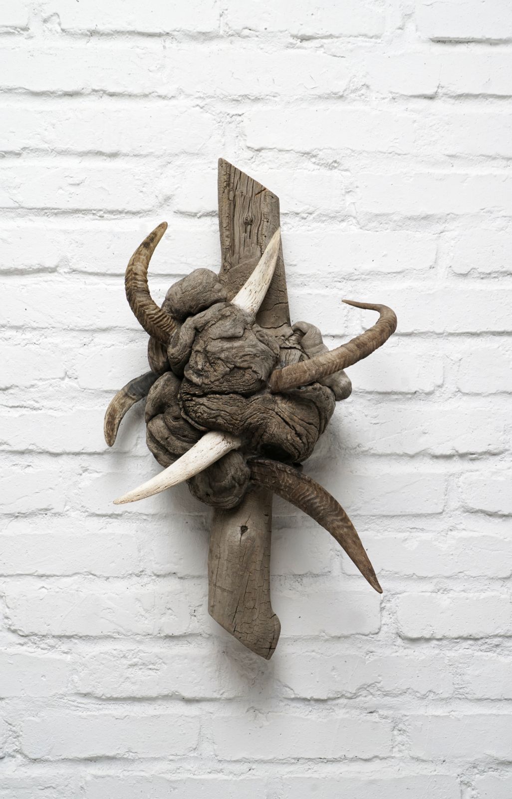 Jantsankhorol's "Pompous or Omnicompetent" (2023) (Photo: courtesy the artist)