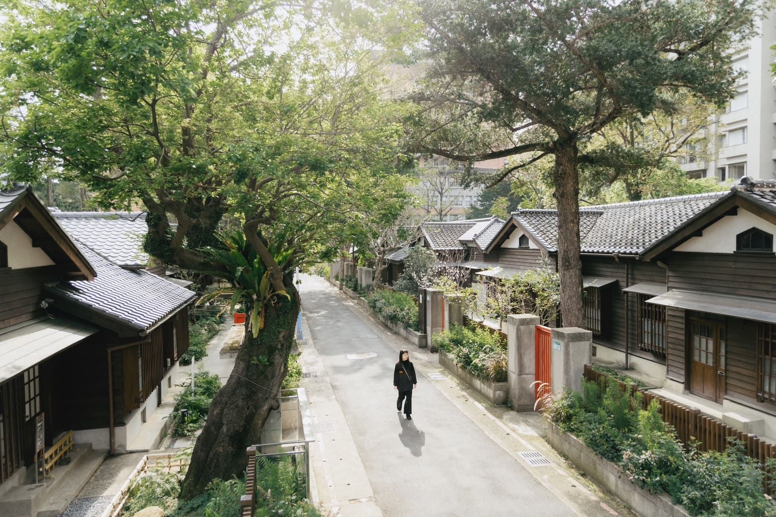 （Photo：0km 山物所）