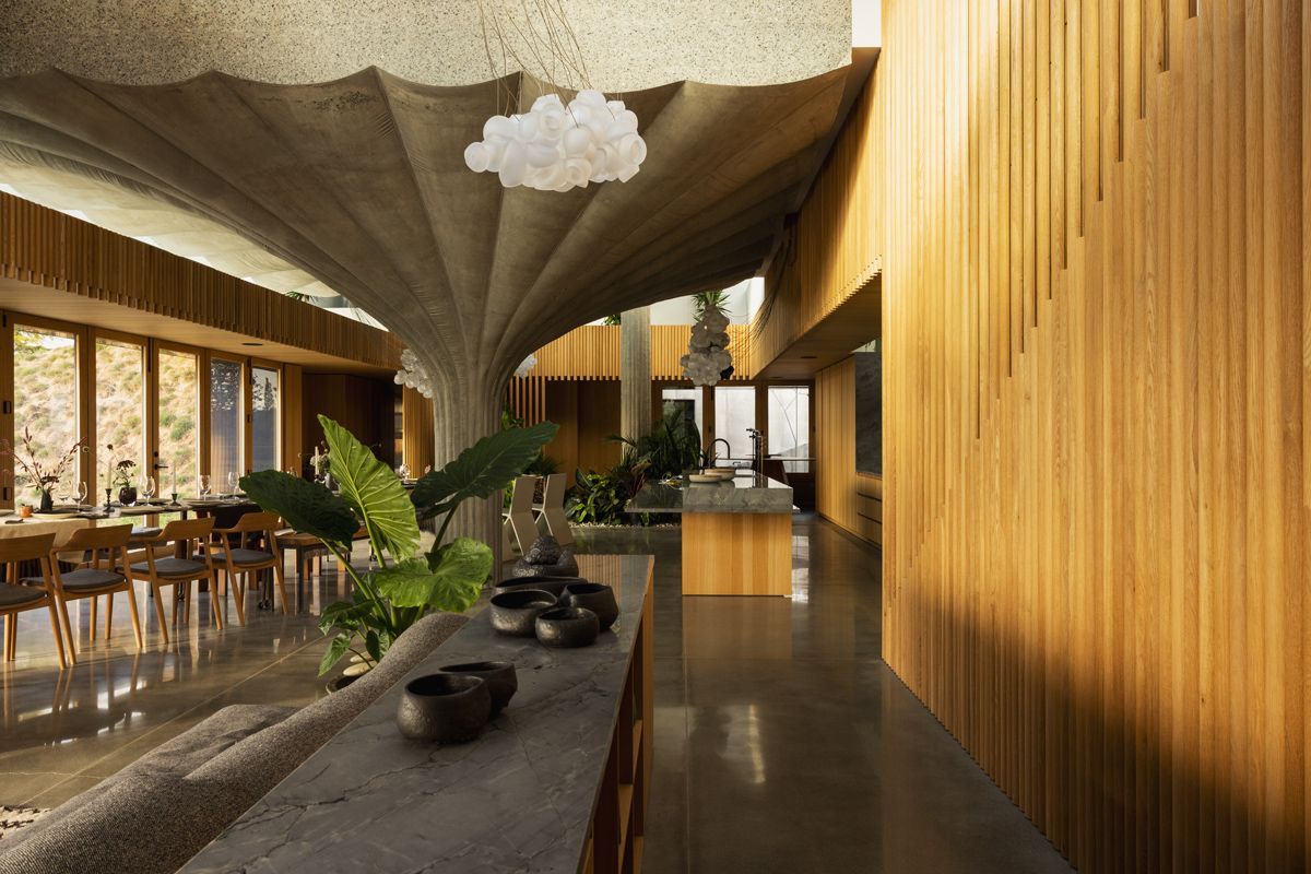 The timber finish looks golden against the concrete