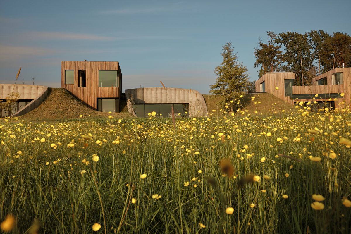 The view of the house from a blooming meadow