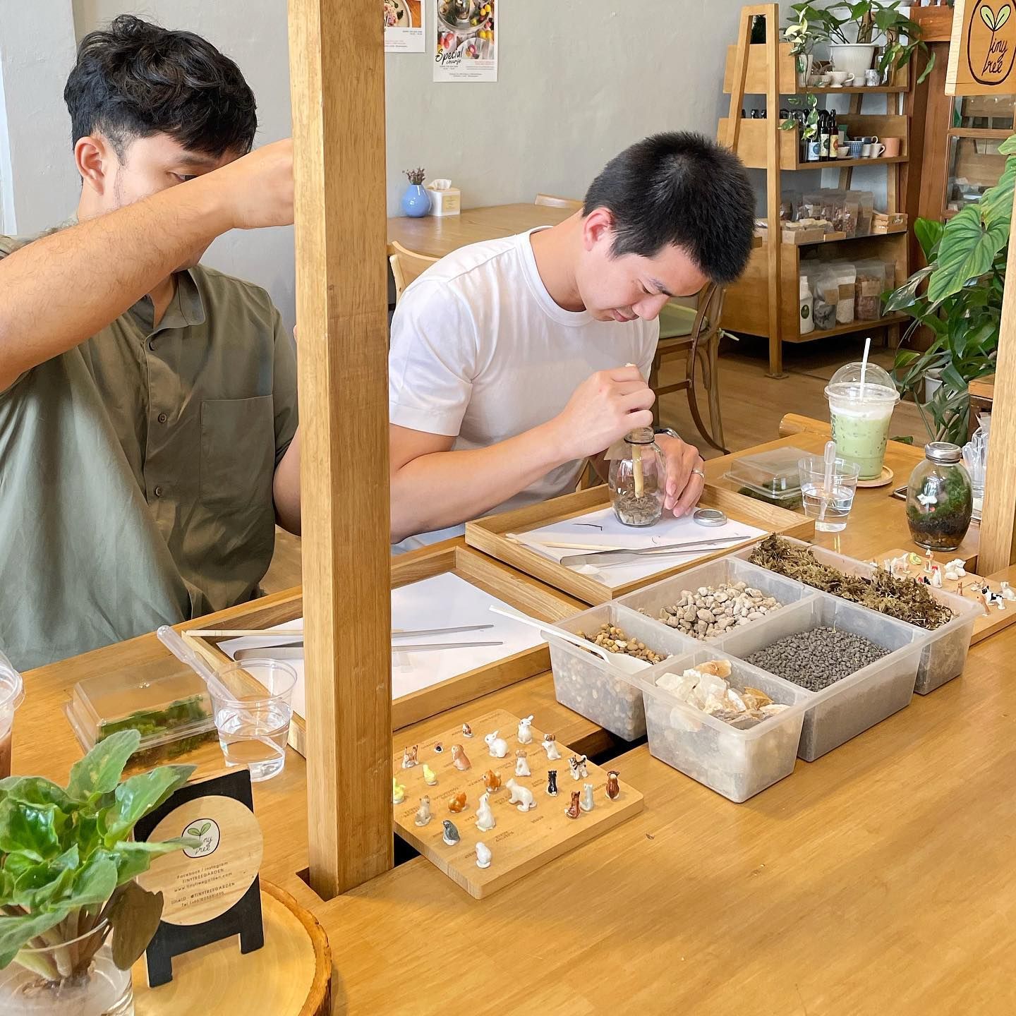 terrarium workshop at tiny tree