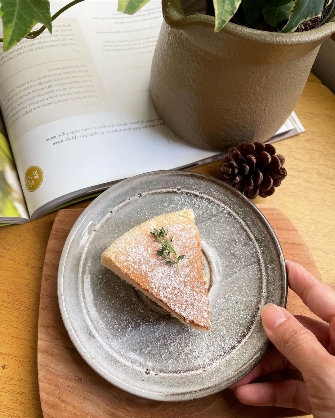 cheesecake at tiny tree