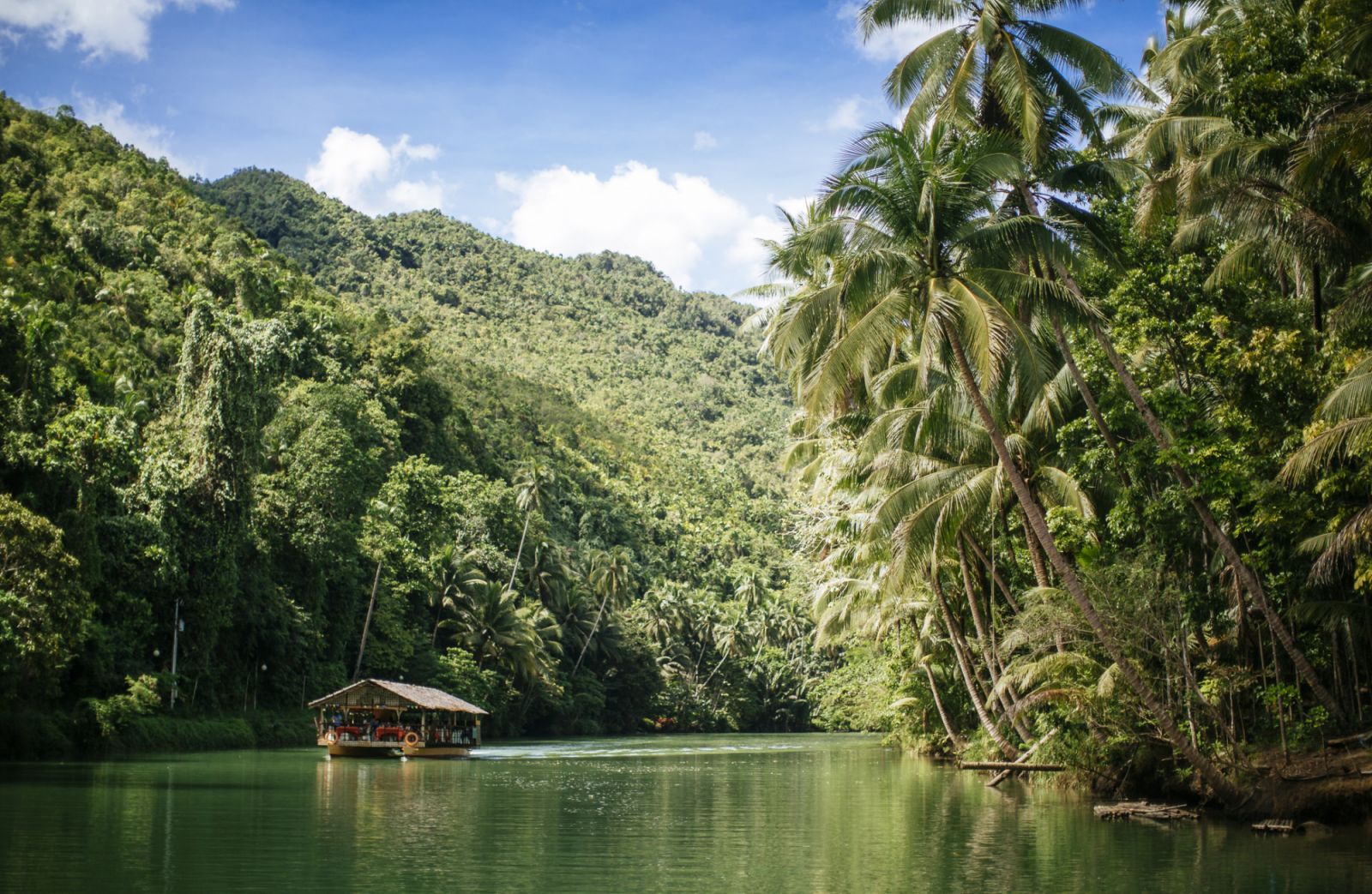 loboc Tour boat cruising on a river and tropical rainforest (Photo: Khaichuin Sim/Getty Images)
