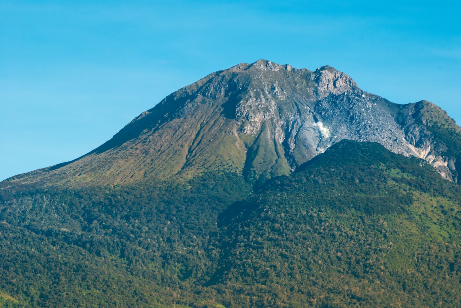 Various framing of Mount Apo upland pine forest showing its lush and green vegetation under a cloudy and blue sky (Photo: Ruelito Pine/Getty Images)