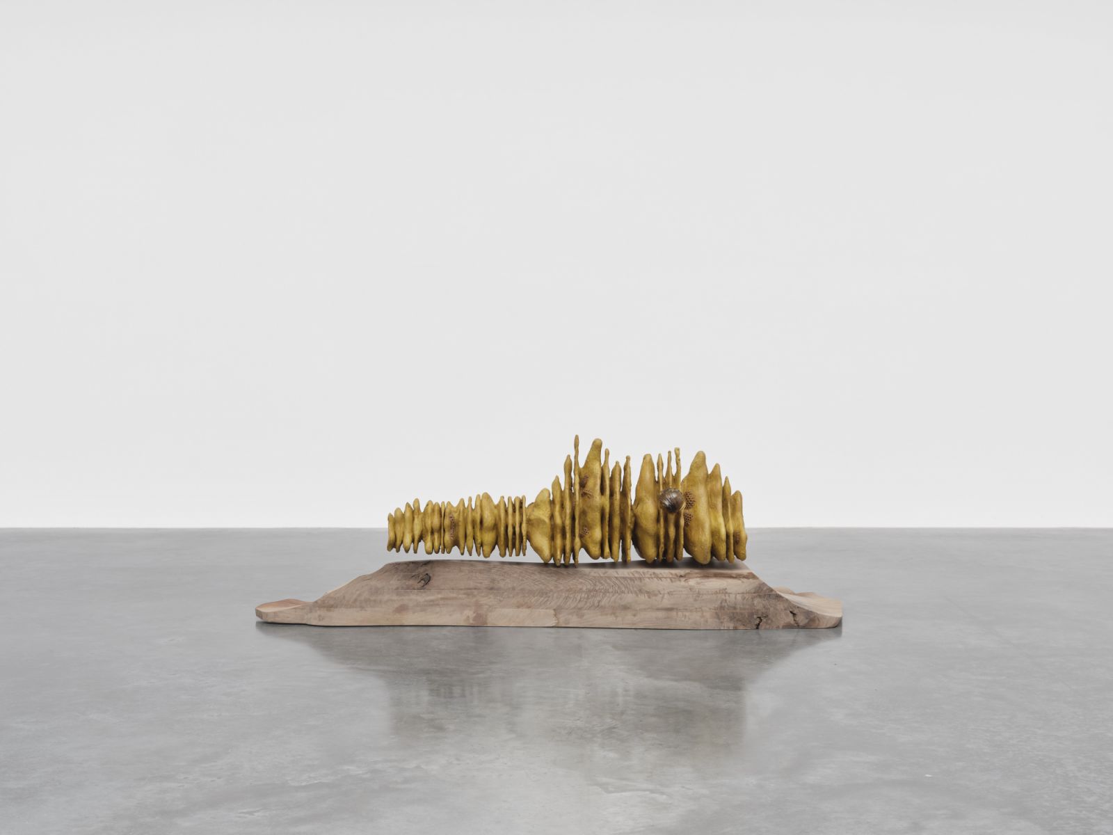 Marguerite Humeau's "The Honey Holder" (2023) Natural beeswax, pigments, 150-year-old walnut (cause of death: unknown), handblown glass and Bees raw honey (Photo: courtesy the artist and White Cube)