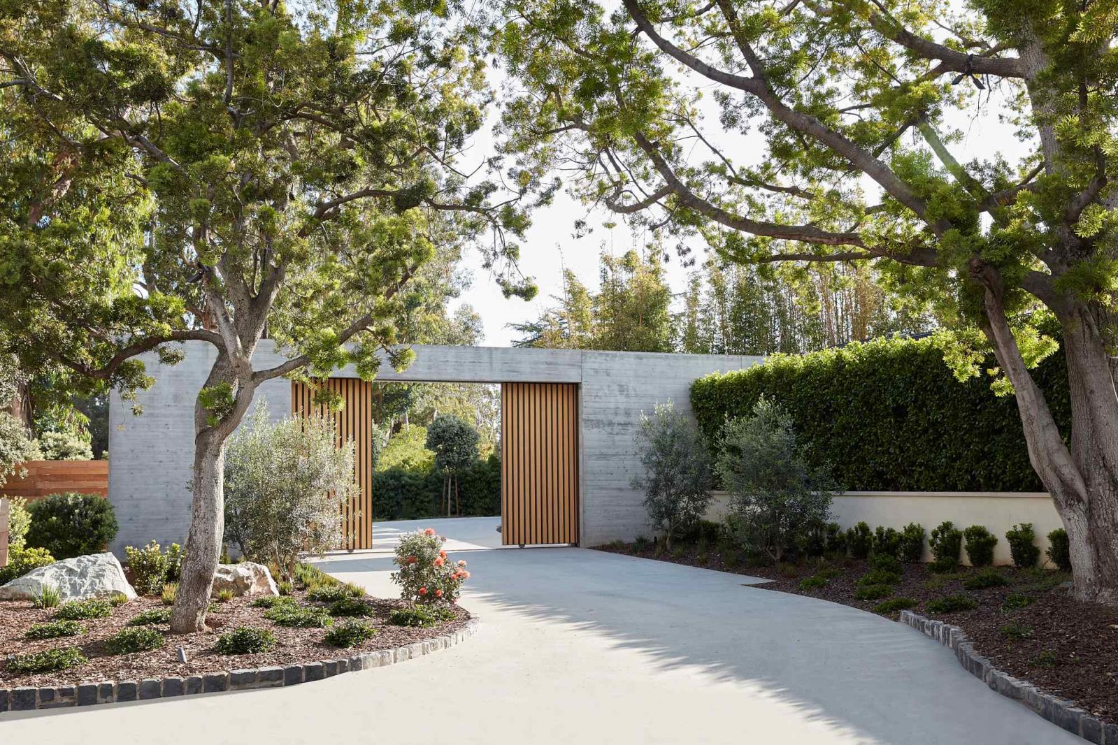 A board-formed concrete wall and cedar gate contrasts with the natural elements