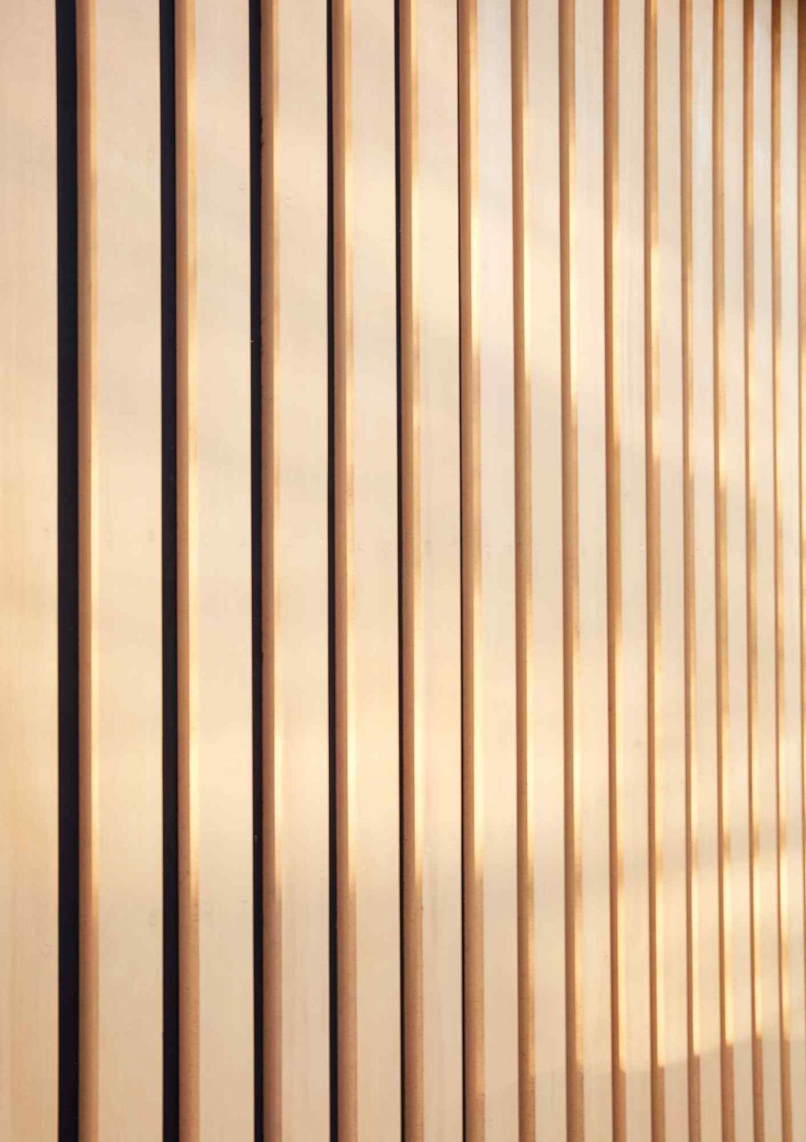 Juxtaposing volumes of cedar-clad wood