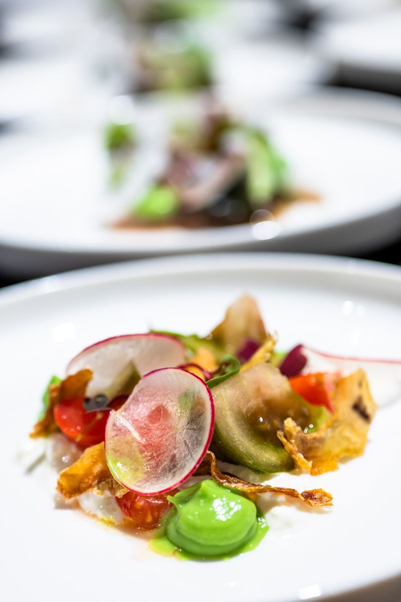Vegetarian appetiser comprises stracciatella cheese, heirloom tomatoes, artichoke chips, avocado, red veined sorrel and extra virgin olive oil