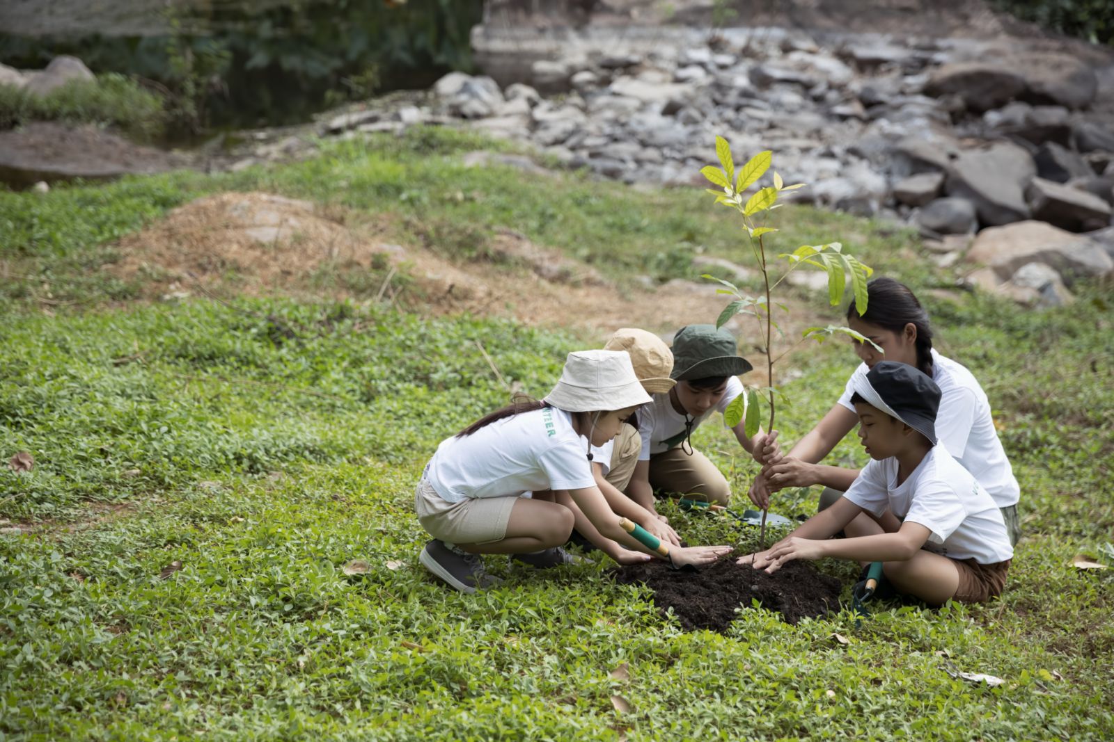 Volunteer Asian and children planting a forest as save world concept. Activities aimed at instilling a sense of reverence for the natural world and the environment, Sustainable Lifestyle, Sustainable Resources