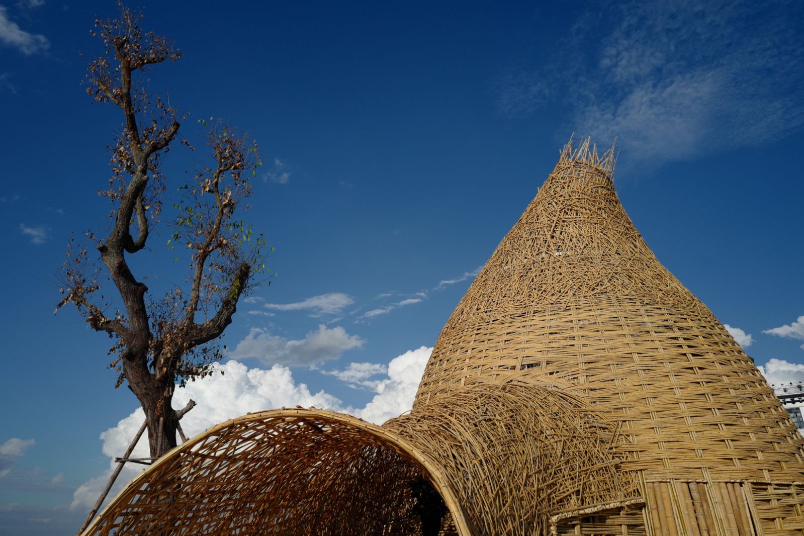 Beyond the site, art installation at Chiang Rai International Art Museum (CIAM), Venue of Thailand Biennale, Chiang Rai
