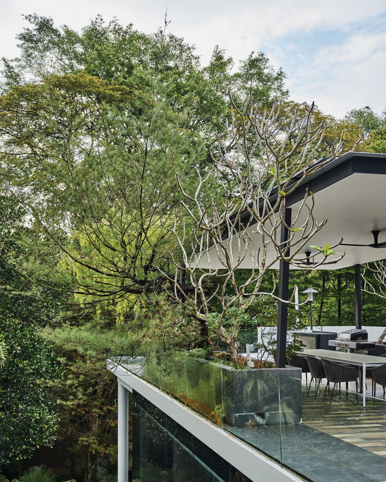 The rooftop features money-saving solar panels and an oversized planter that mirrors the home’s verdant surroundings