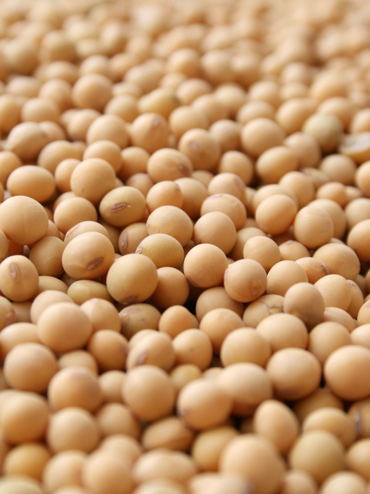 Soy beans (Photo: Getty Images)