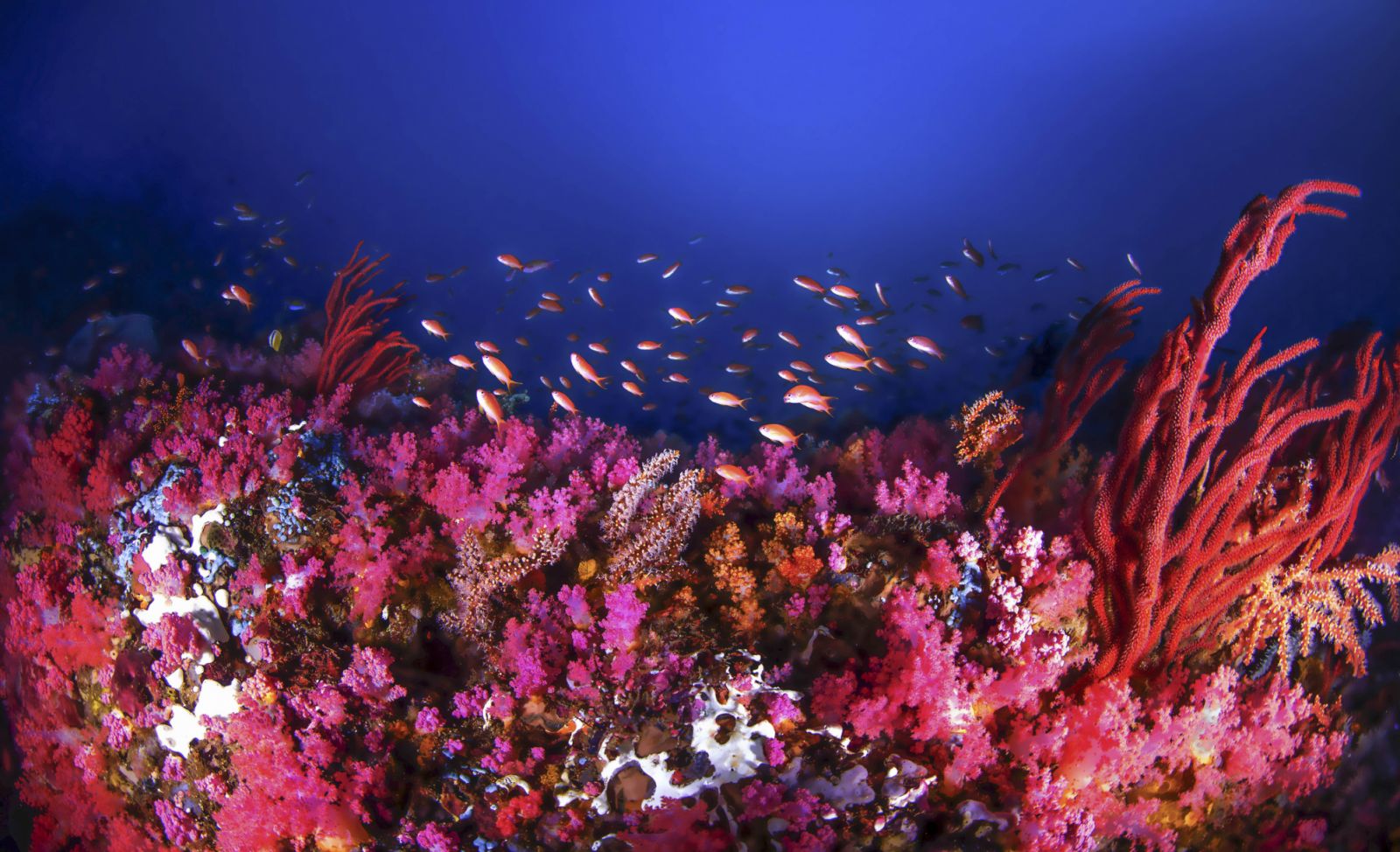 The canyons in Puerto Galera, Philippines (Photo: Getty Images)