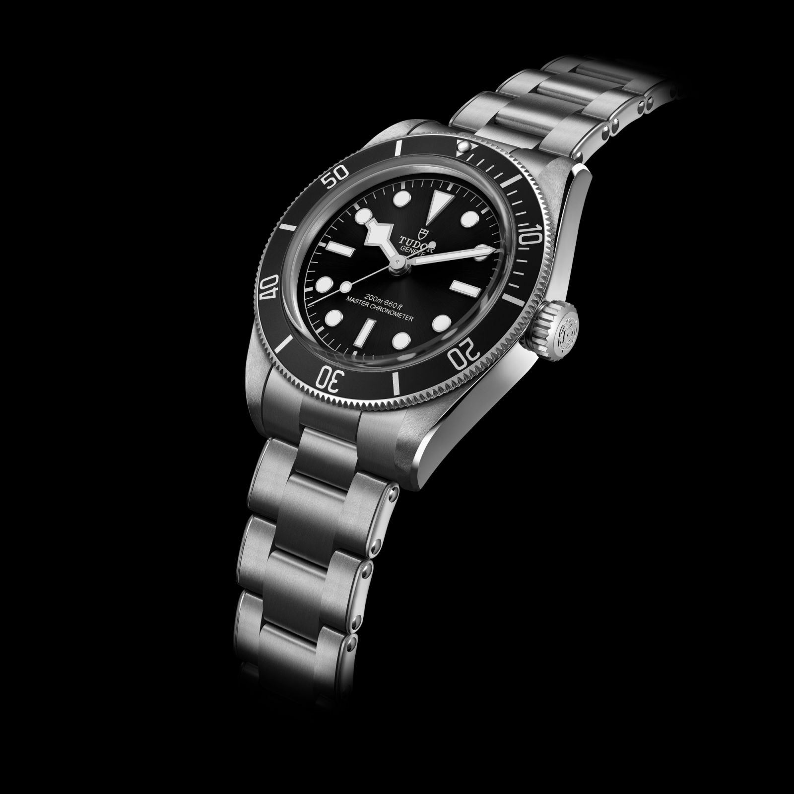 Tudor Black Bay