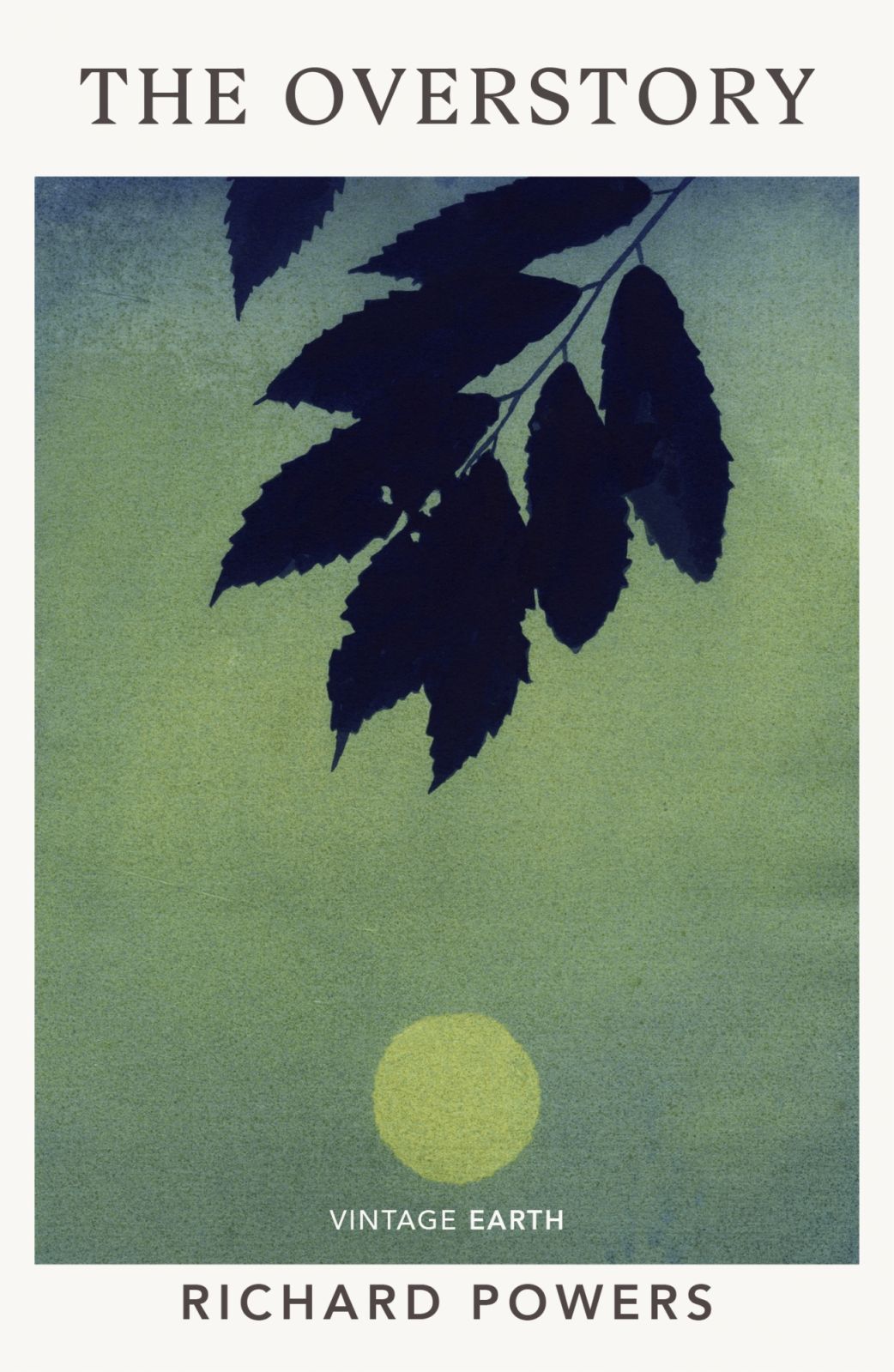 'The Overstory' by Richard Powers (Photo: Penguin Random House Australia)