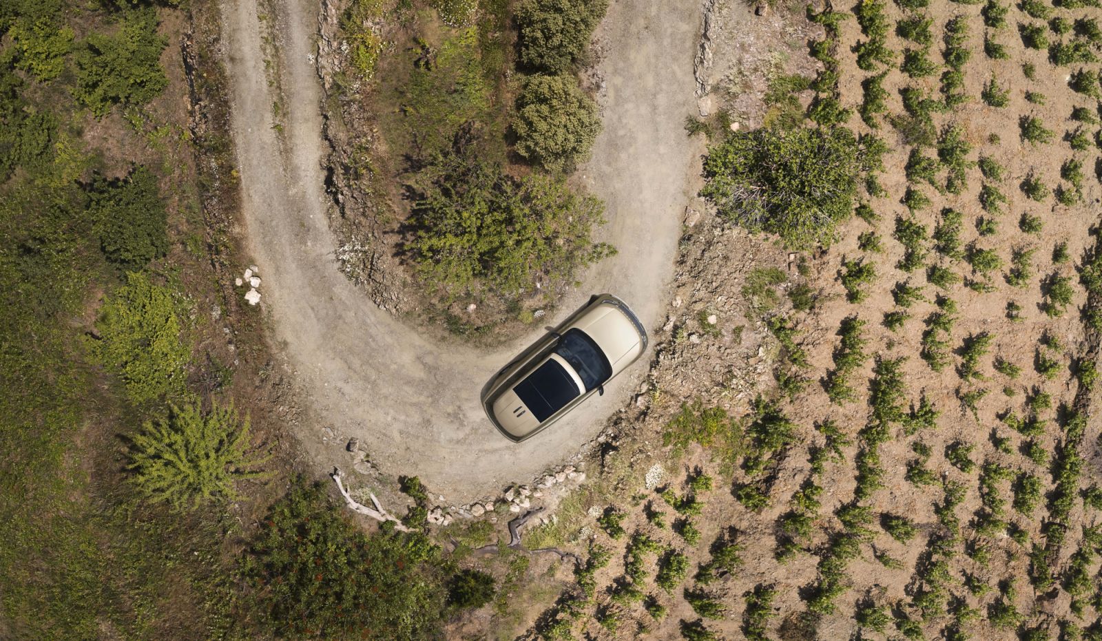 The Range Rover SE P460e in the field