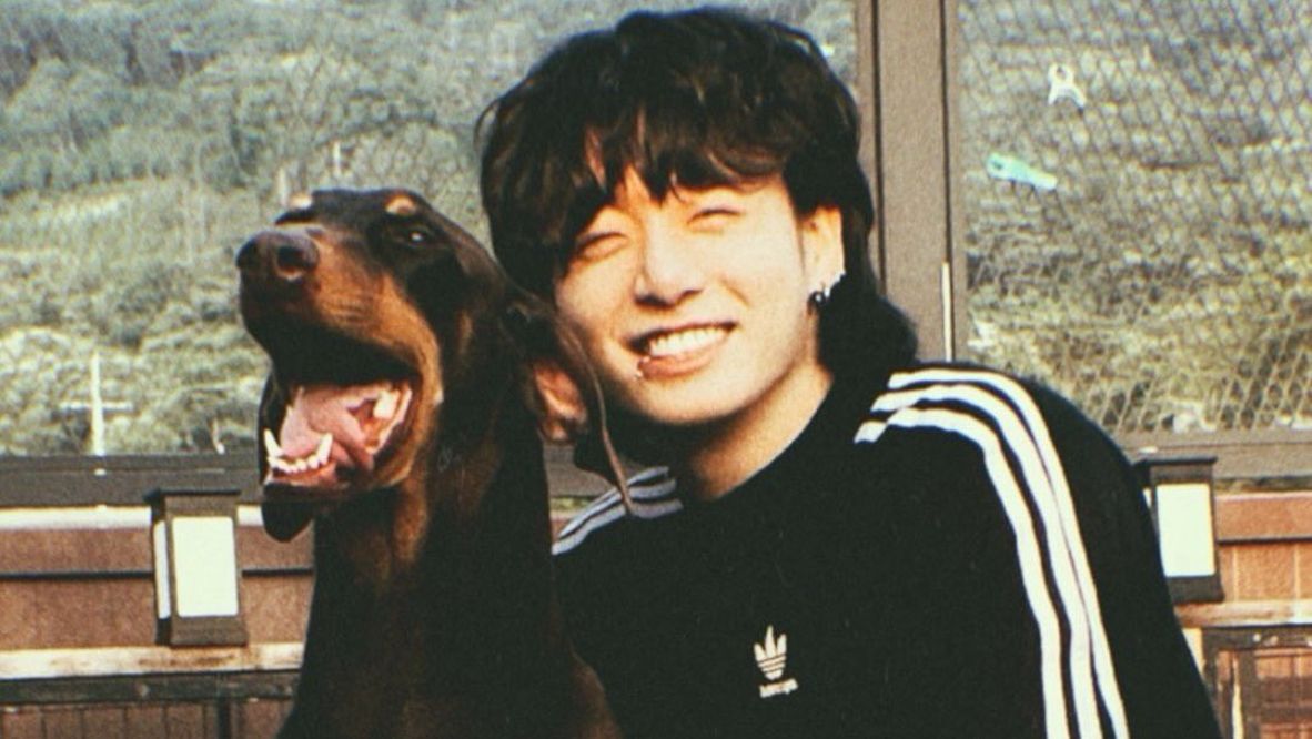 BTS’s Jungkook has opened an Instagram account for his dobermann, Bam (Photo: Instagram / @bowwow_bam)