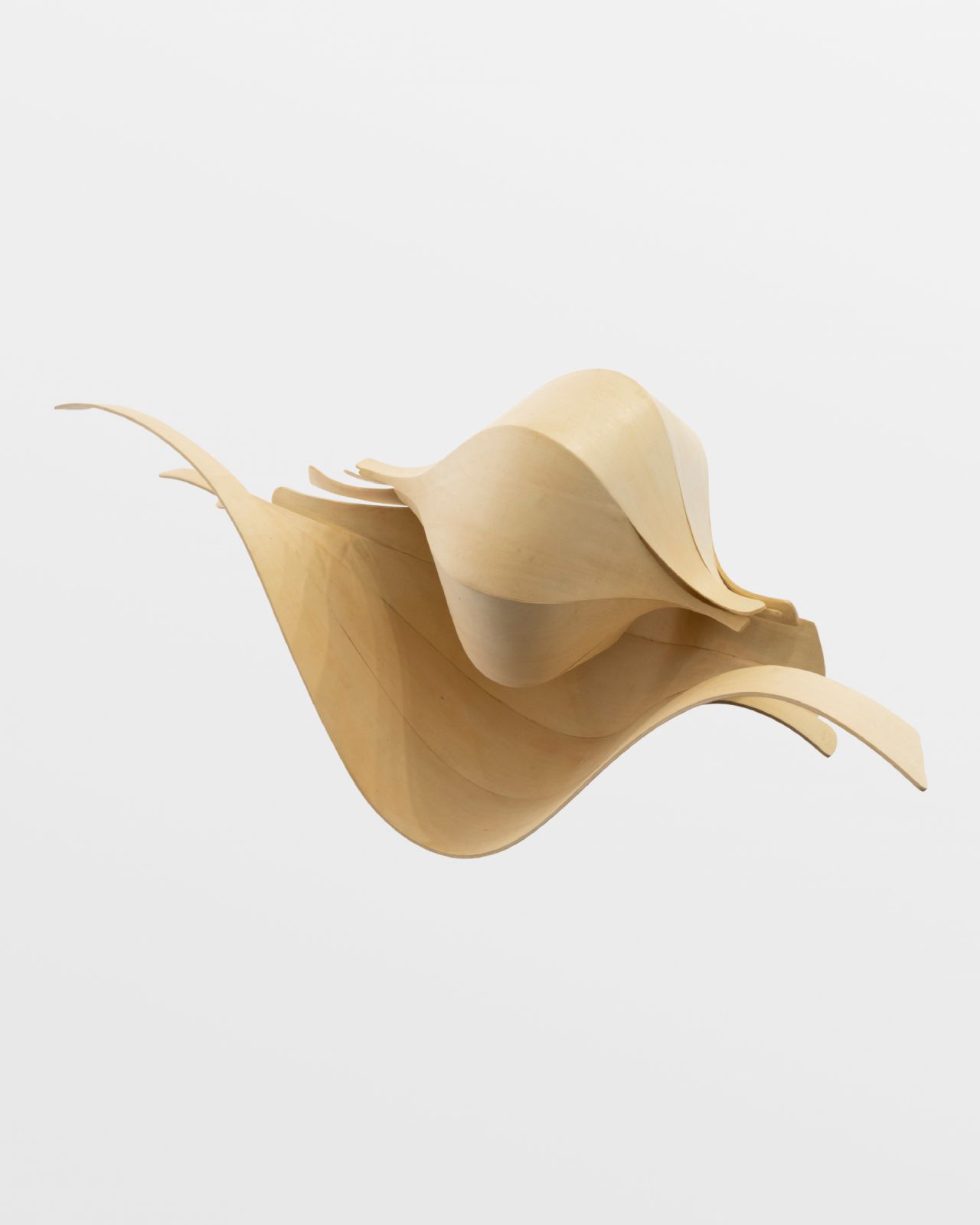 'Holly Shell' by Alison Croney Moses