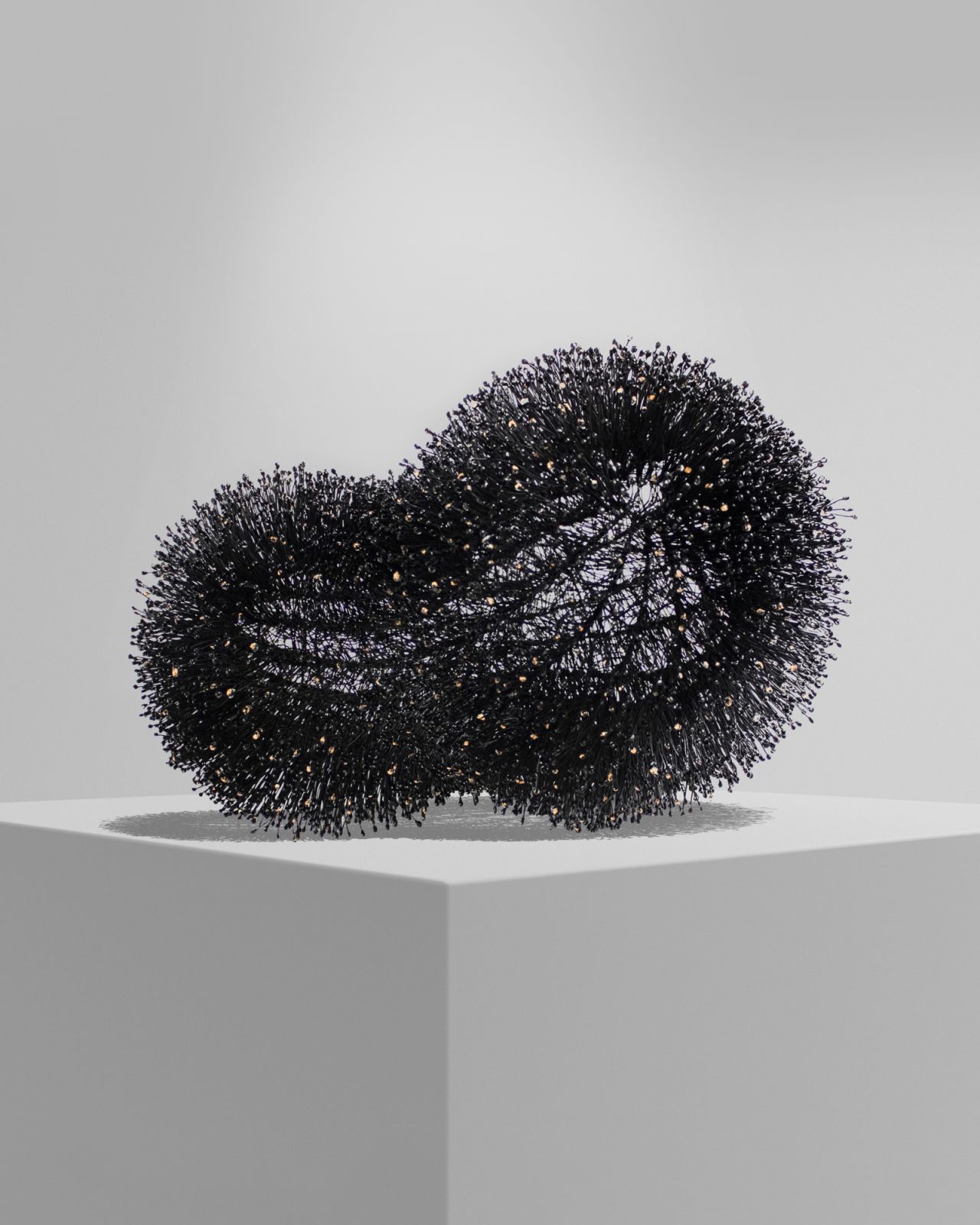 'Echinoid' by Rasco Jugarap