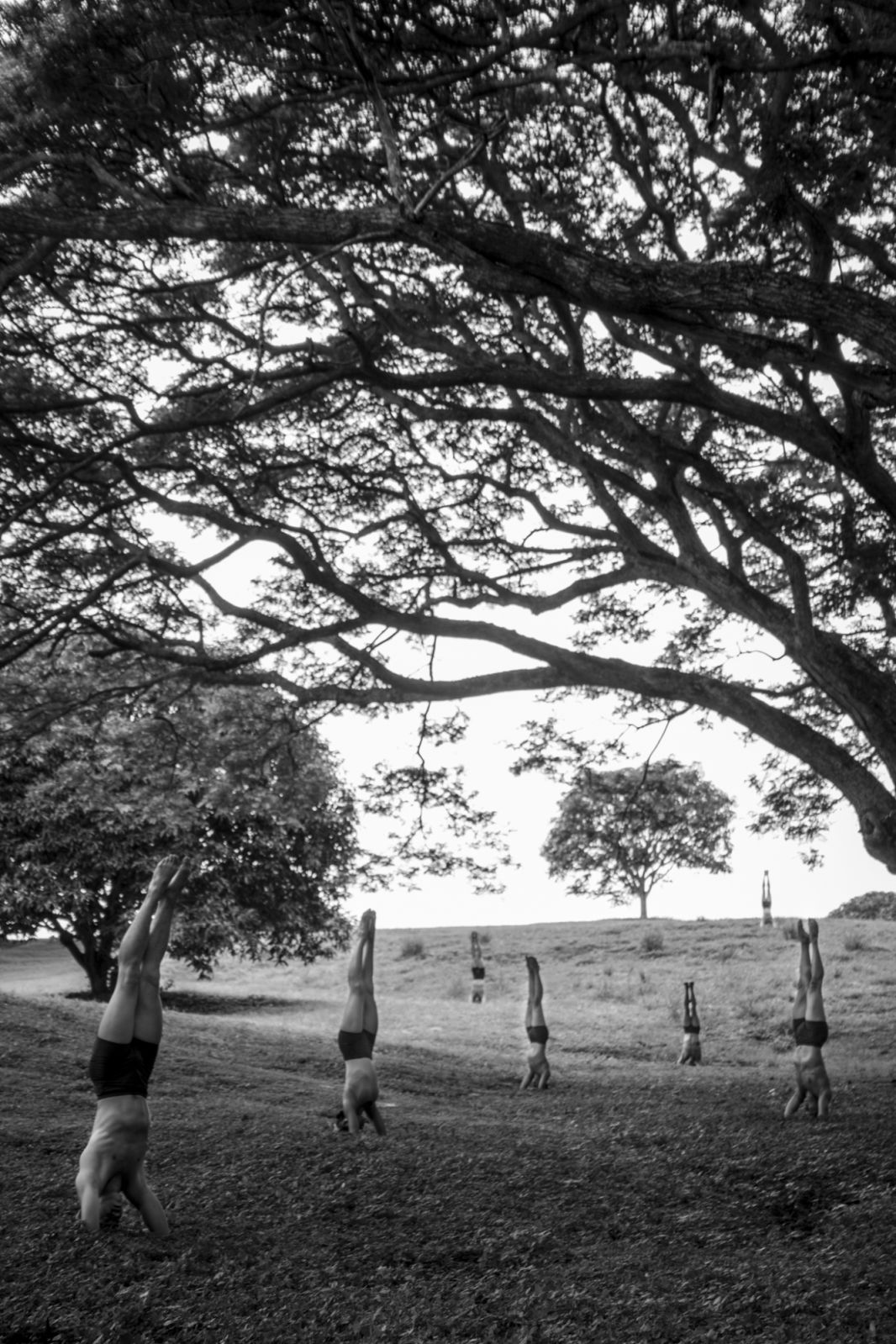 A still from the dance film Elementos, directed by Steps alumna Madge Reyes